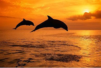 Fami通新一周销量榜：《死亡搁浅2》仅排第三！