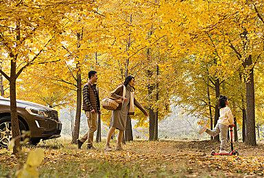 《方舟生存进化》24.8万Steam在线再创新高，夏季特卖史低29元